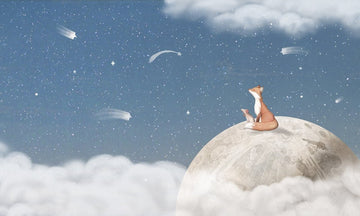 Fox on the Moon, Blue - Le Petit Marché Home Furniture