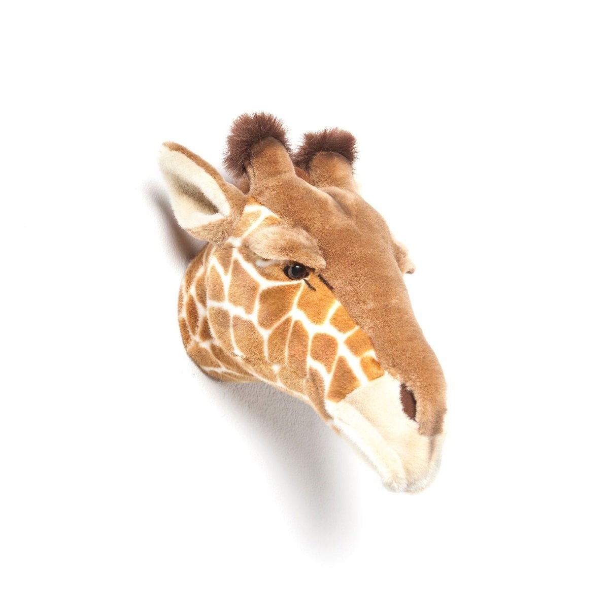 Head, Ruby the Giraffe - Le Petit Marché Home Furniture