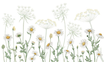 Dazzling Daisies - White - Le Petit Marché Home Furniture