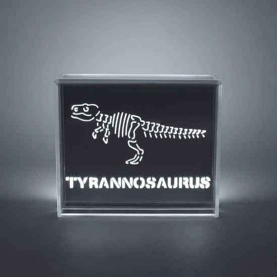 'Dinosaur' Acrylic Box LED - Le Petit Marché Home Furniture