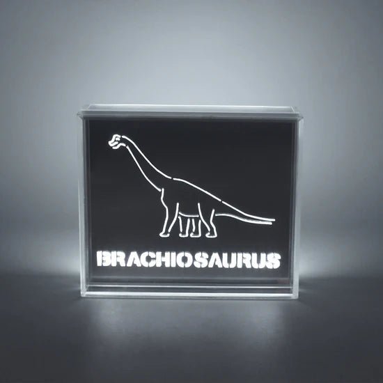 'Dinosaur' Acrylic Box LED - Le Petit Marché Home Furniture