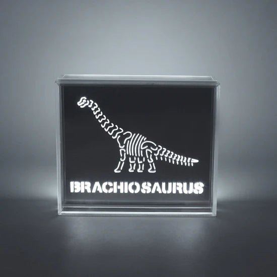 'Dinosaur' Acrylic Box LED - Le Petit Marché Home Furniture