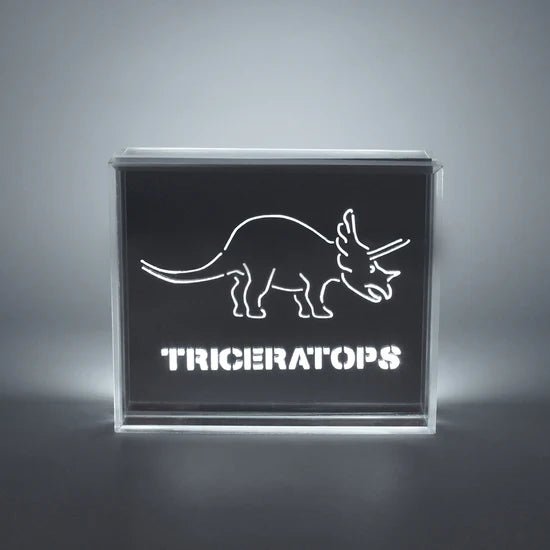 'Dinosaur' Acrylic Box LED - Le Petit Marché Home Furniture