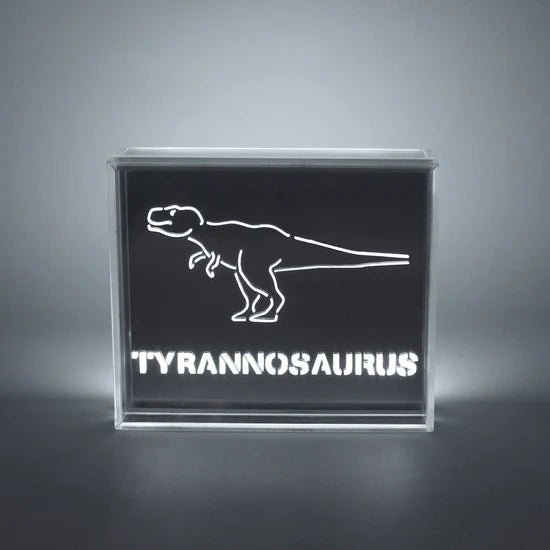 'Dinosaur' Acrylic Box LED - Le Petit Marché Home Furniture