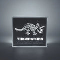 'Dinosaur' Acrylic Box LED - Le Petit Marché Home Furniture