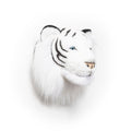 Head, Albert The White Tiger - Le Petit Marché Home Furniture