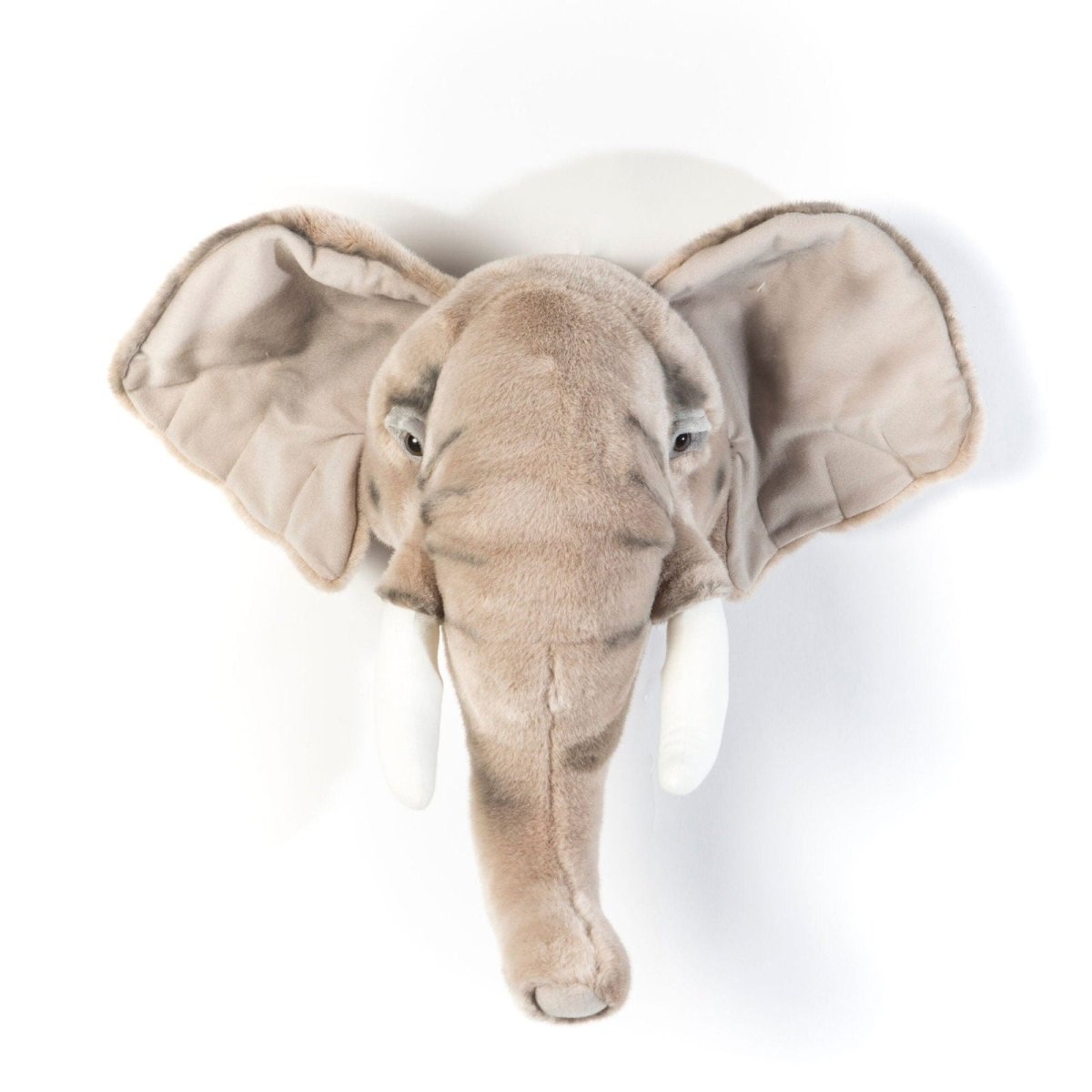 Head, George the Elephant - Le Petit Marché Home Furniture