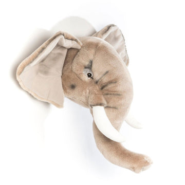 Head, George the Elephant - Le Petit Marché Home Furniture