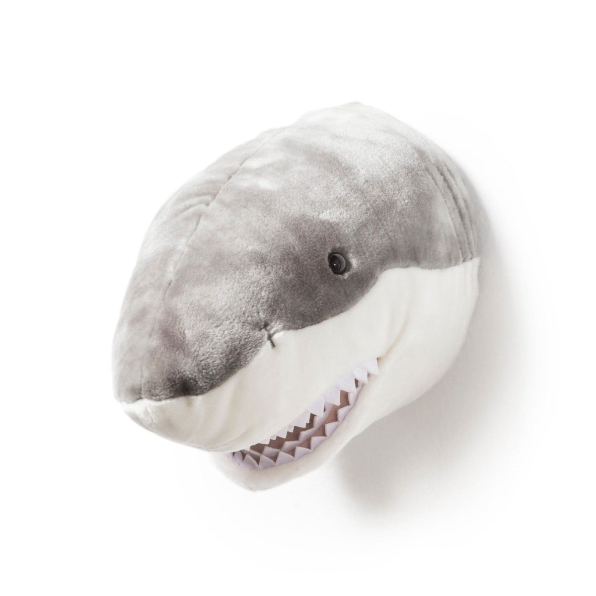 Head, Jack the Shark - Le Petit Marché Home Furniture