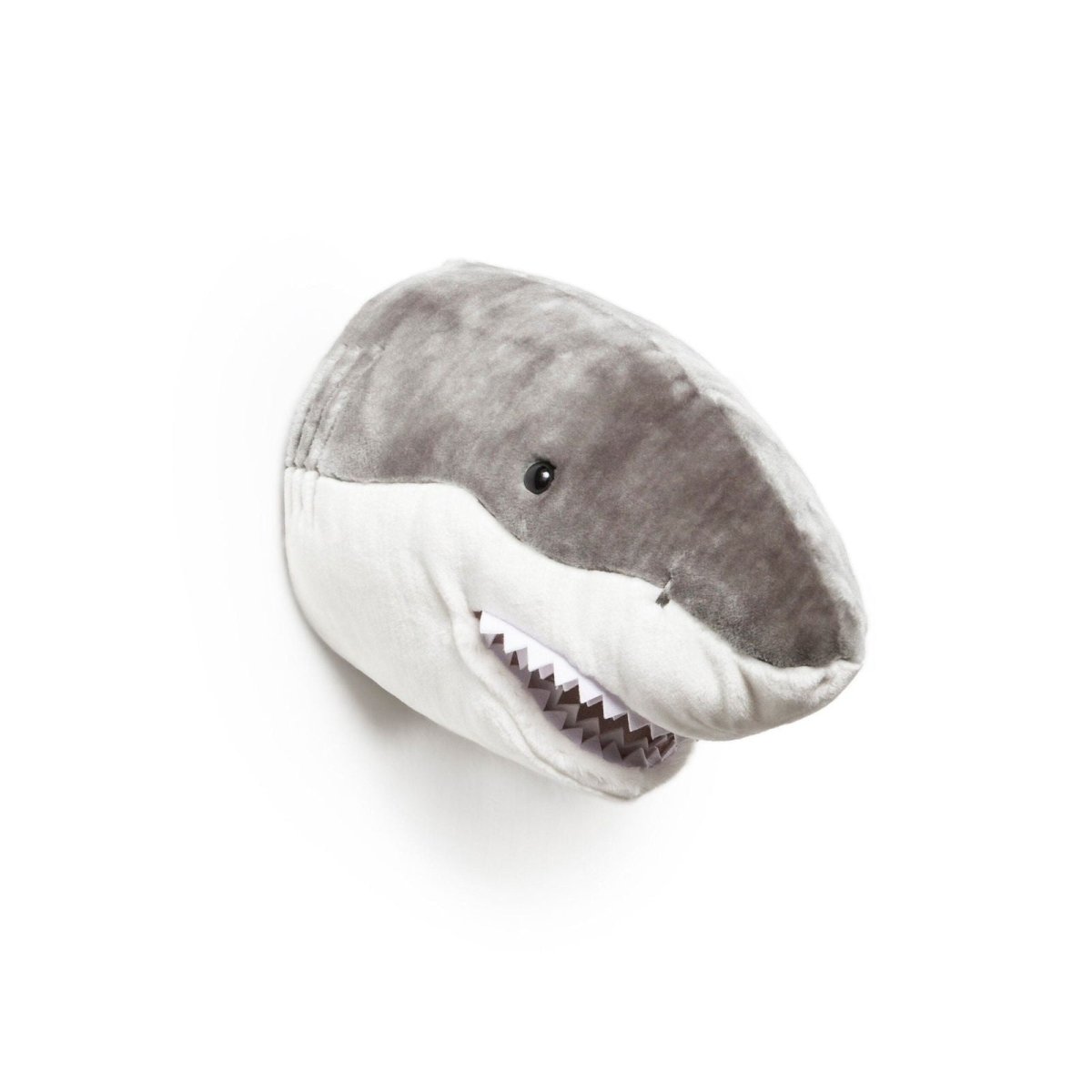 Head, Jack the Shark - Le Petit Marché Home Furniture