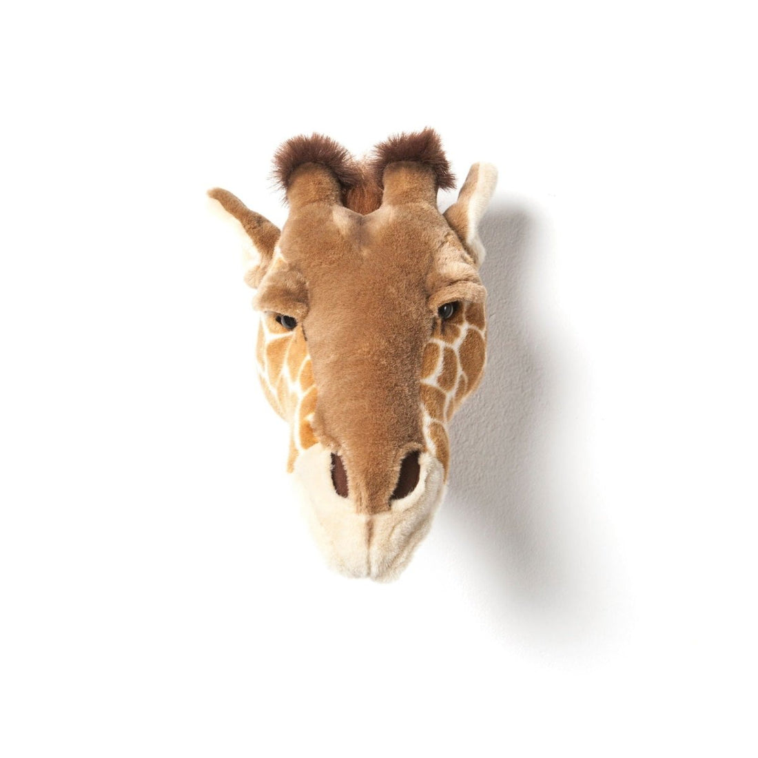 Head, Ruby the Giraffe - Le Petit Marché Home Furniture