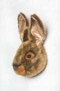 Lewis, The Brown Hare - Le Petit Marché Home Furniture