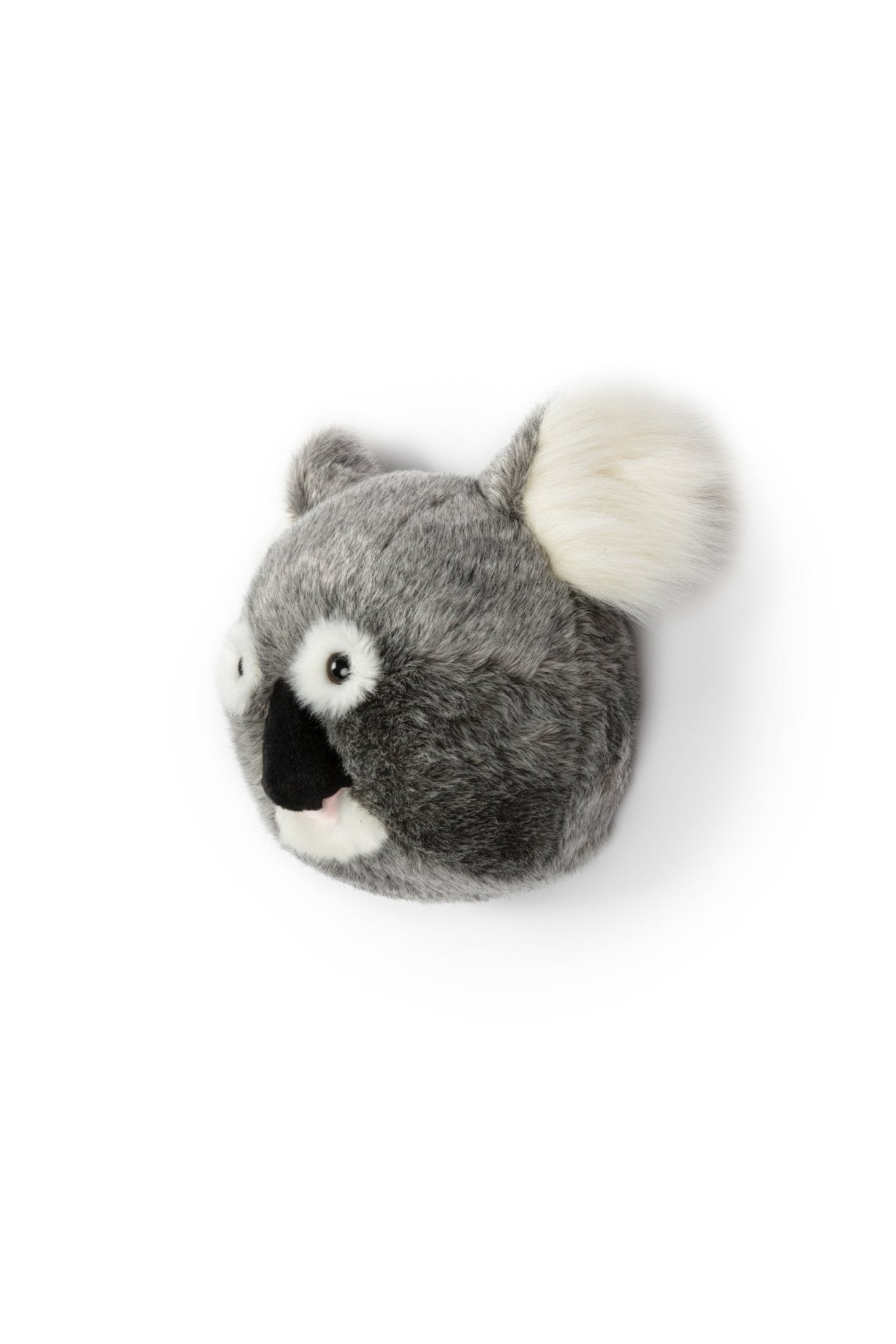 Noah, Head Koala bear - Le Petit Marché Home Furniture