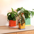 Planter Tribe Green - Le Petit Marché Home Furniture