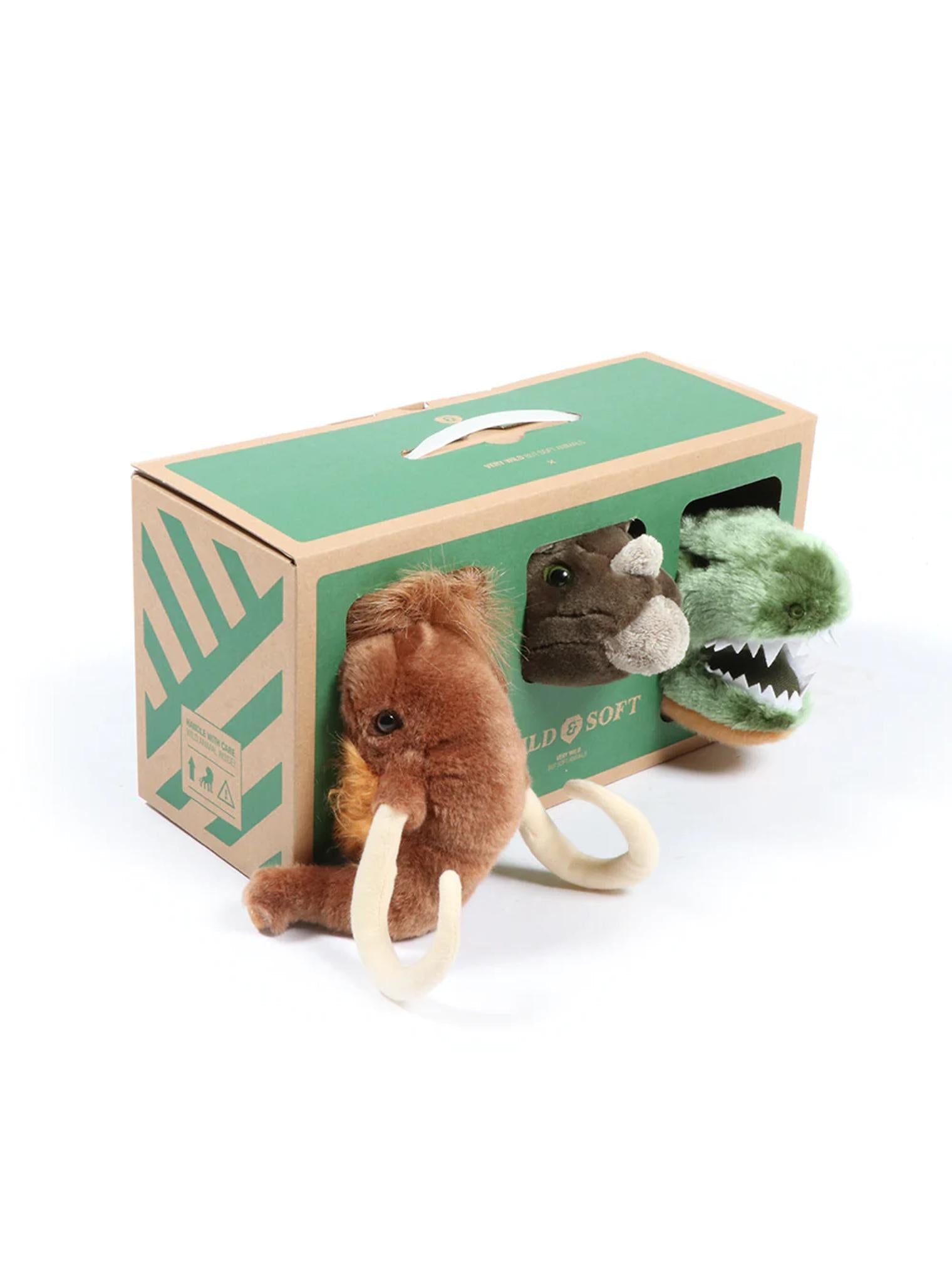 Prehistoric Box Small Head - Le Petit Marché Home Furniture