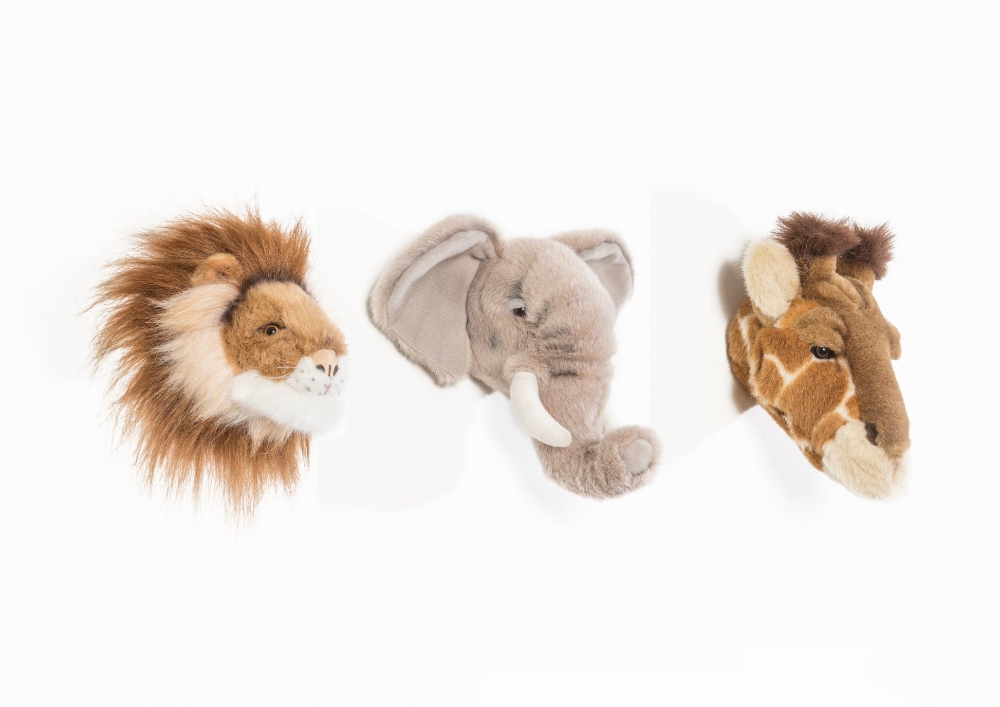 Safari Box Small Heads - Le Petit Marché Home Furniture