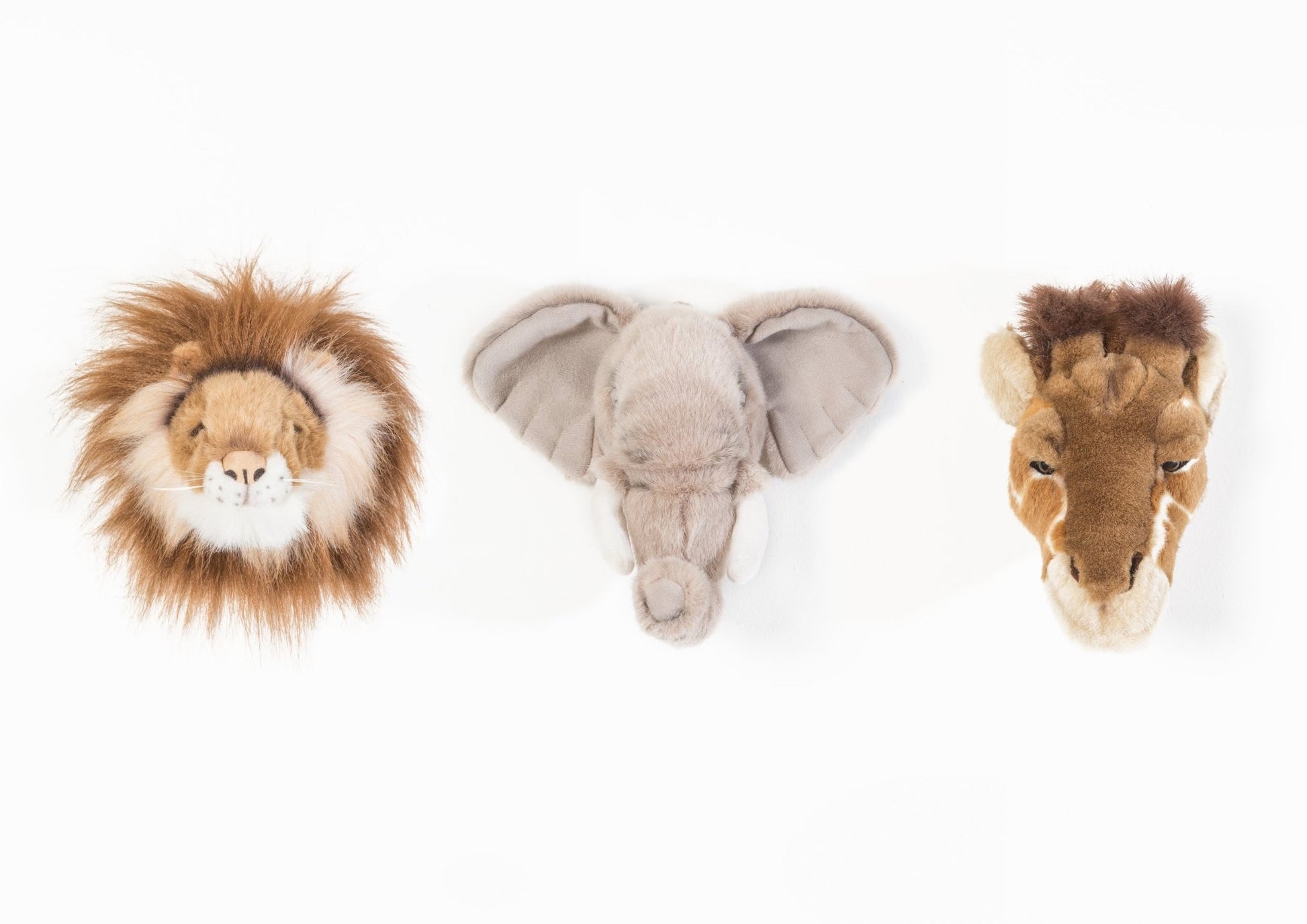 Safari Box Small Heads - Le Petit Marché Home Furniture