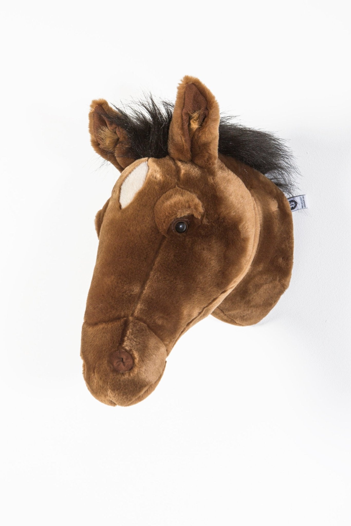 Scralett, The Dark Brown Horse Head - Le Petit Marché Home Furniture