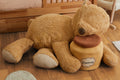 Sleepy Bear Pouffe - Le Petit Marché Home Furniture